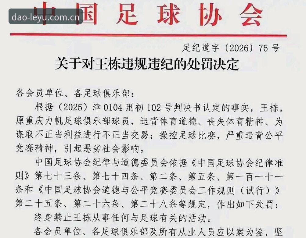 乐鱼体育app新版官方下载 揭秘足坛重磅罚单背后的黑幕:65人终身禁足,中国足球的至暗时刻